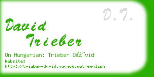 david trieber business card